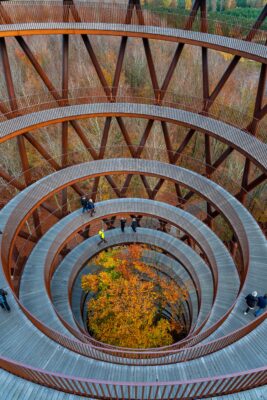 Spiral walkway with tree in center