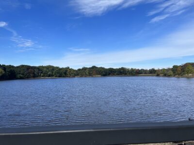 image of blue body of water and blue sky