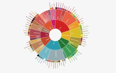 A colorful circular chart with different colored circles of coffee notes